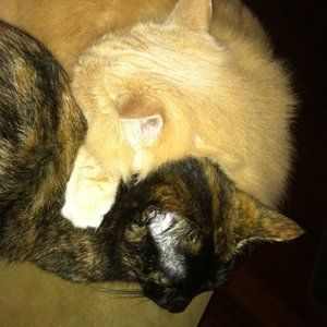 Meet your Posher, N.